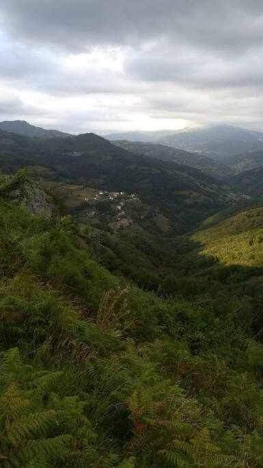 Encanto Asturiano Aller Esterno foto